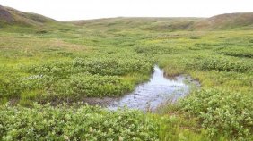 Dünyanın Arktik karbon döngüsü hızlanıyor