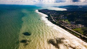 Ordu'daki selde denize sürüklenen ağaçlar görüntülendi