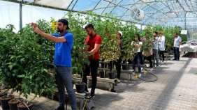 Pilot üniversite projeleri meyvelerini veriyor