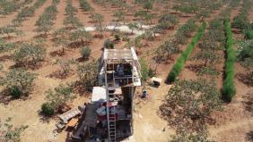 Antep fıstığı için gece gündüz silahlı nöbet