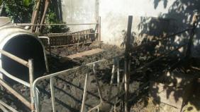 Kurbanlıklarda kandırma yapan besici