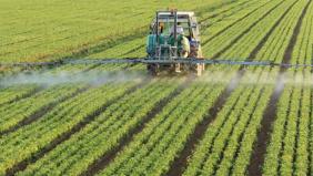 Sudan'daki tarım arazileri için yatırım daveti