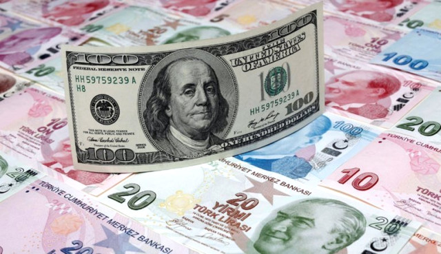 Dolar, Yatırımcısına Bir Yılda Yüzde 50 Kazandırdı