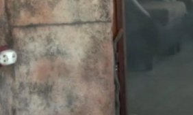 Eve girmeye çalışan yılan panik yarattı