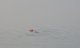 Nehre atlayan kadını vatandaşlar kurtardı