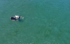 İki kardeşin korkutan anları: Böyle görüntülendi!