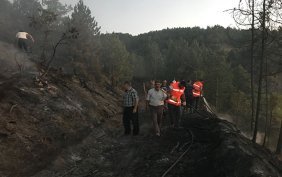 Kaymakam ve vatandaşlar ormanı yanmaktan kurtardı!