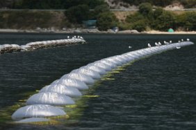 Balıkesir'de midye tarlasında hasat sürüyor