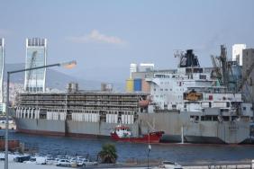 İzmir'e 6 bin büyükbaş hayvan geldi