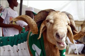 Nijer'de halka çağrı: Kurban etini odunda pişirmeyin