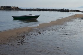 Ordu'da fındıklar sahile vurmaya devam ediyor