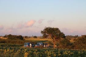 Tartıştığı eşinin intihar ettiğini söyleyip teslim oldu
