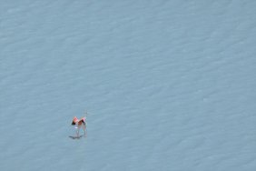 Van Özalp'teki Akgöl su kuşlarını ağırlıyor