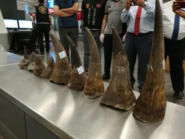 Atatürk Havalimanı’nda gergedan boynuzu yakalandı