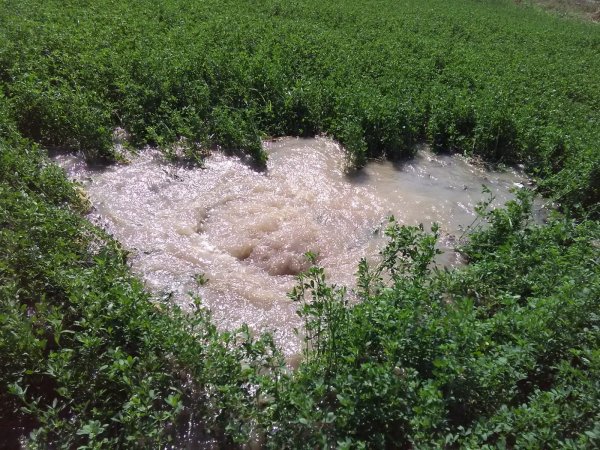 Bursa’da boru patladı mahsuller su içinde yüzdü