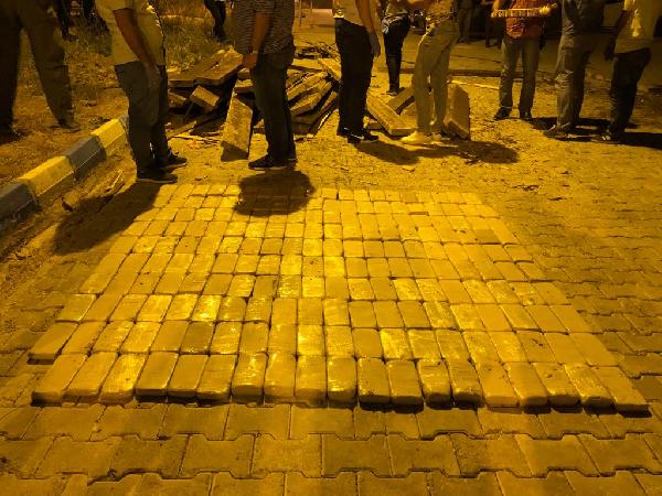 Hayvan yüklü kamyona saklanan uyuşturucuyu Alfa yakaladı