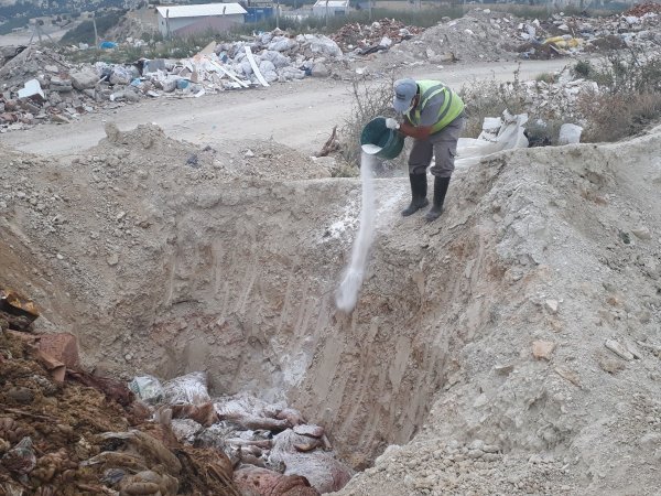 Tüberküloza rastlanan kurbanlıklar imha edildi