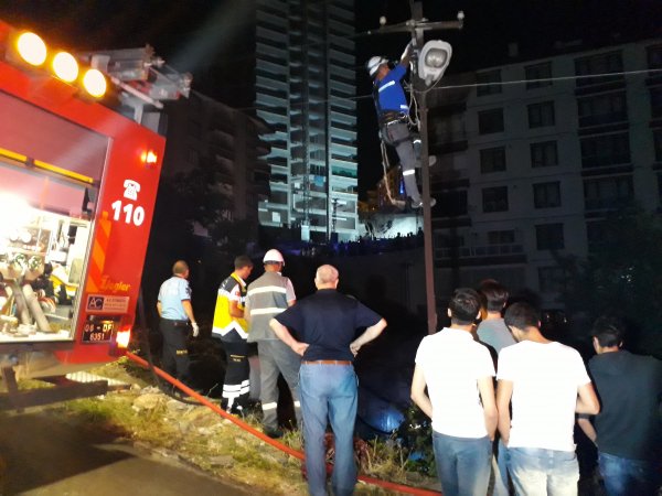 Yanan gecekonduda mahsur kalan köpekler kurtarıldı