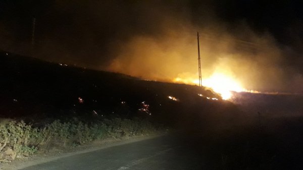 Adıyaman'daki yangında 350 dönüm arazi zarar gördü