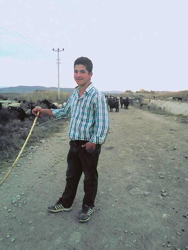 Aydın'da şimşek isabet eden genç çoban öldü
