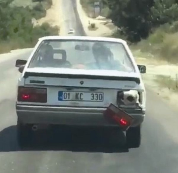 Bagajda taşınan koyunun nefes alması için farı söktü