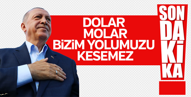 Başkan Erdoğan’dan döviz ve altınları bozdurun çağrısı