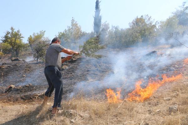 Bergama'da 8 hektar fıstık çamı ormanı yandı