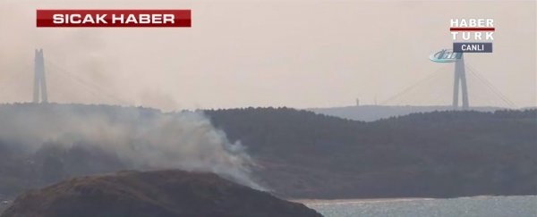 Beykoz Riva’da deniz kenarında orman yangını