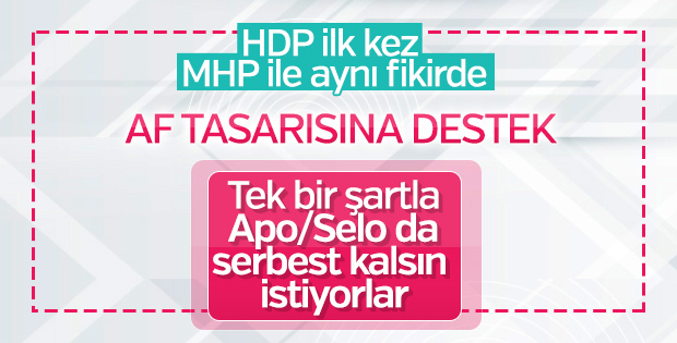 HDP'li Gergerlioğlu genel affetme çağrısı yaptı