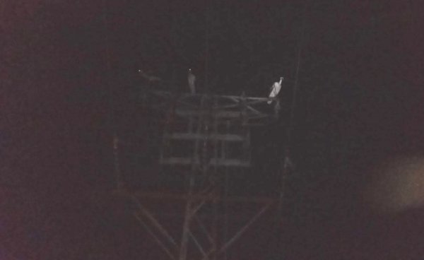 Leylekler Bursa'da 10 köyde elektrik kesintisi yaşattı