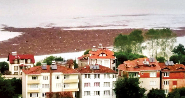 Ordu'daki Selde 809 Ton Fındık, 17 Bin Civciv Hasar Fark Etti