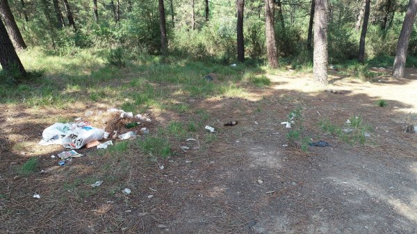 Piknikçiler Aydos Ormanı'nı çöplüğe çevirdi