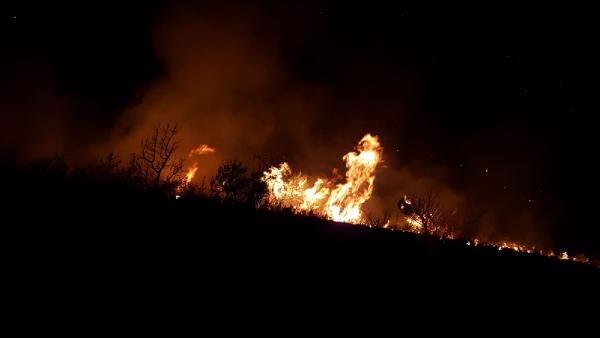 Trabzon'da çaylık alanda yangın çıktı