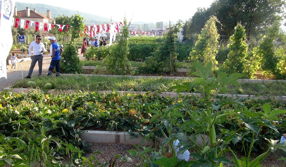 Türkiye'nin en geniş lokal tohum merkezi açıldı