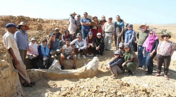 3 milyon yıllık fil fosili sergilendi