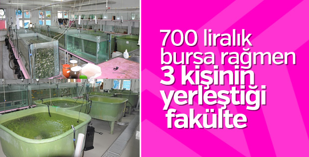700 liralık burs bahşedilen bölüme 3 öğrenci yerleşti