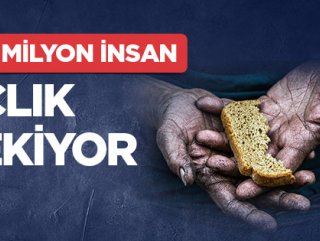 815 milyon insan açlık çekiyor