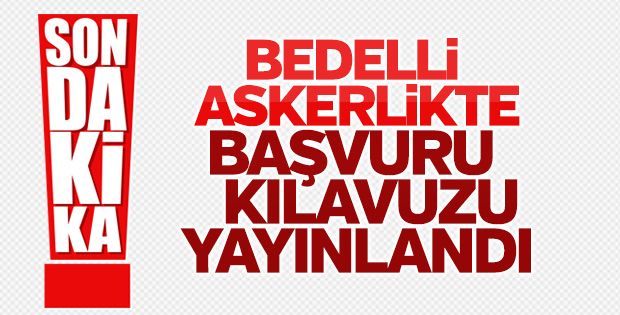 Bedelli başvuru formu kılavuzu yayınlandı