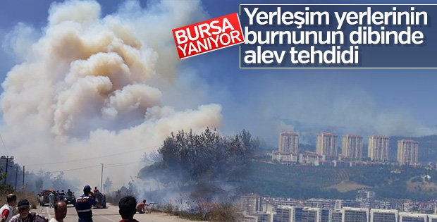 Bursa’da orman yangını