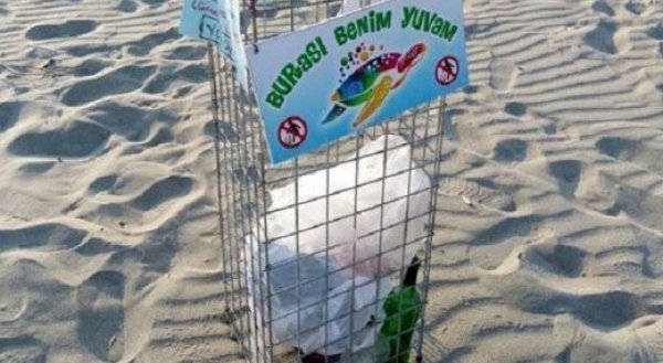 Caretta carettaların yuvaları risk aşağı