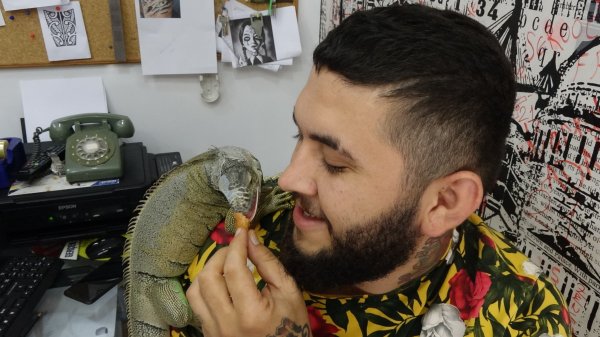 Dövmecide yaşan iguana çevrede maskot oldu