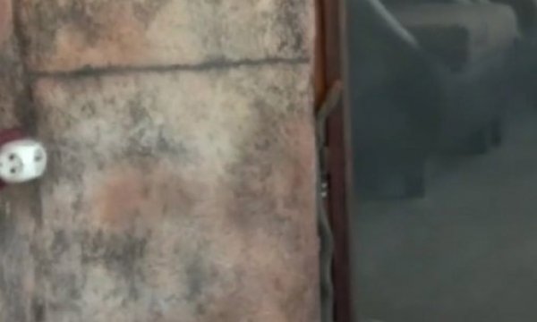 Eve girmeye çalışan yılan panik yarattı
