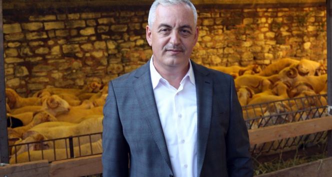 Eyüpsultanda 50 şehit için 50 kurban kesildi