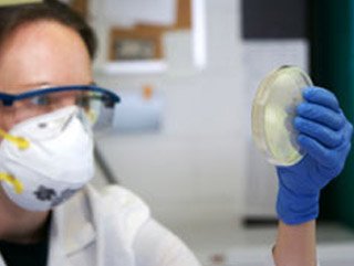 Fransa'da şarbon yüzünden 50 hayvan öldü