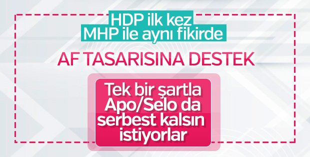 HDP'li Gergerlioğlu genel affetme çağrısı yaptı