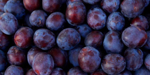 Hem iştah kesiyor hem neşelendiriyor