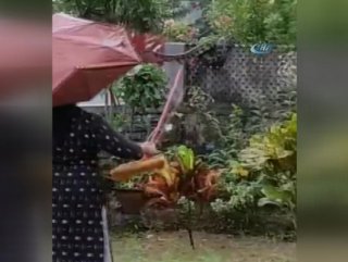 Hindistan’da sel nedeniyle yılanlar sokağa yayıldı