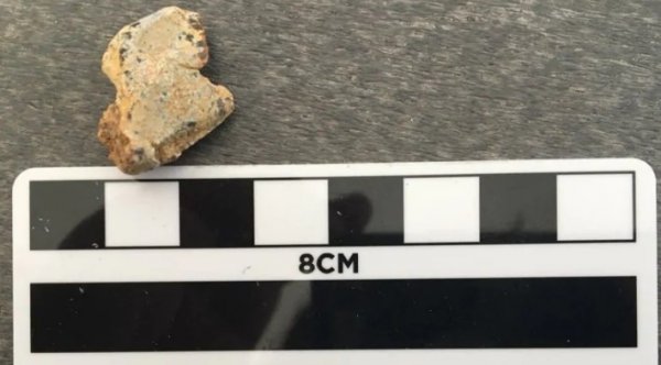 Kanada ’da 23 milyon takvim fosil bulundu