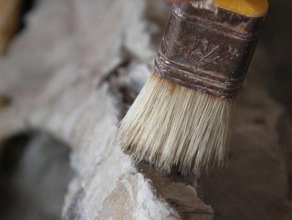 Kanada ’da 23 milyon yıllık fosil bulundu