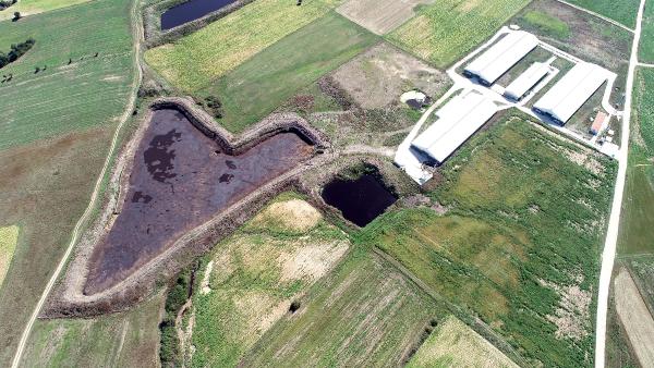 Kırklareli'de patlayan gübre havuzu dereye aktı